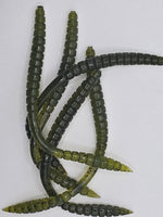 6" Fat Finesse Worm (10-pk)