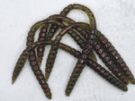 6" Fat Finesse Worm (10-pk)
