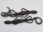 4" Lizard Assorted (14-pk)